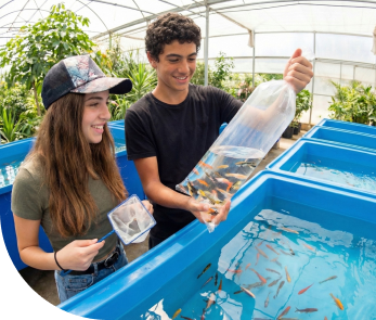 אגרו-אקולוגיה מתקדמת